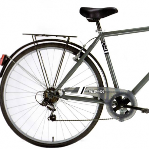 Bicicletta Per Adulto Aurelia 728UG