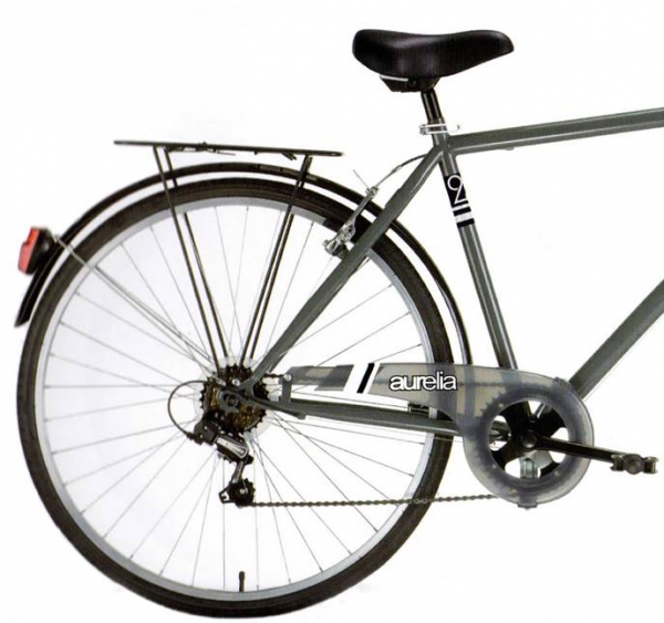 Bicicletta Per Adulto Aurelia 728UG